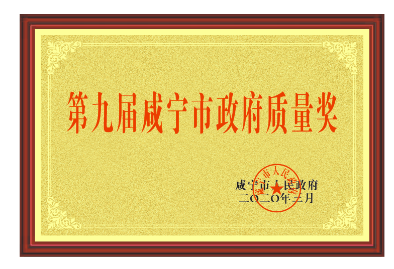 018 第九屆（jiè）鹹寧市（shì）政府質量（liàng）獎證（zhèng）書.png